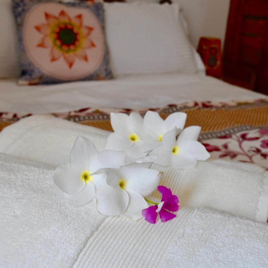 Jasmin Villa Hampi Εξωτερικό φωτογραφία